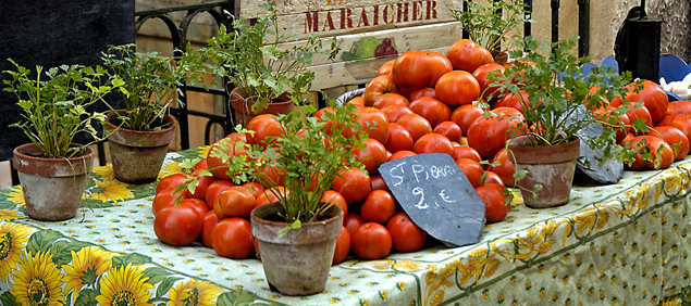 Tomates Saint Pierre
