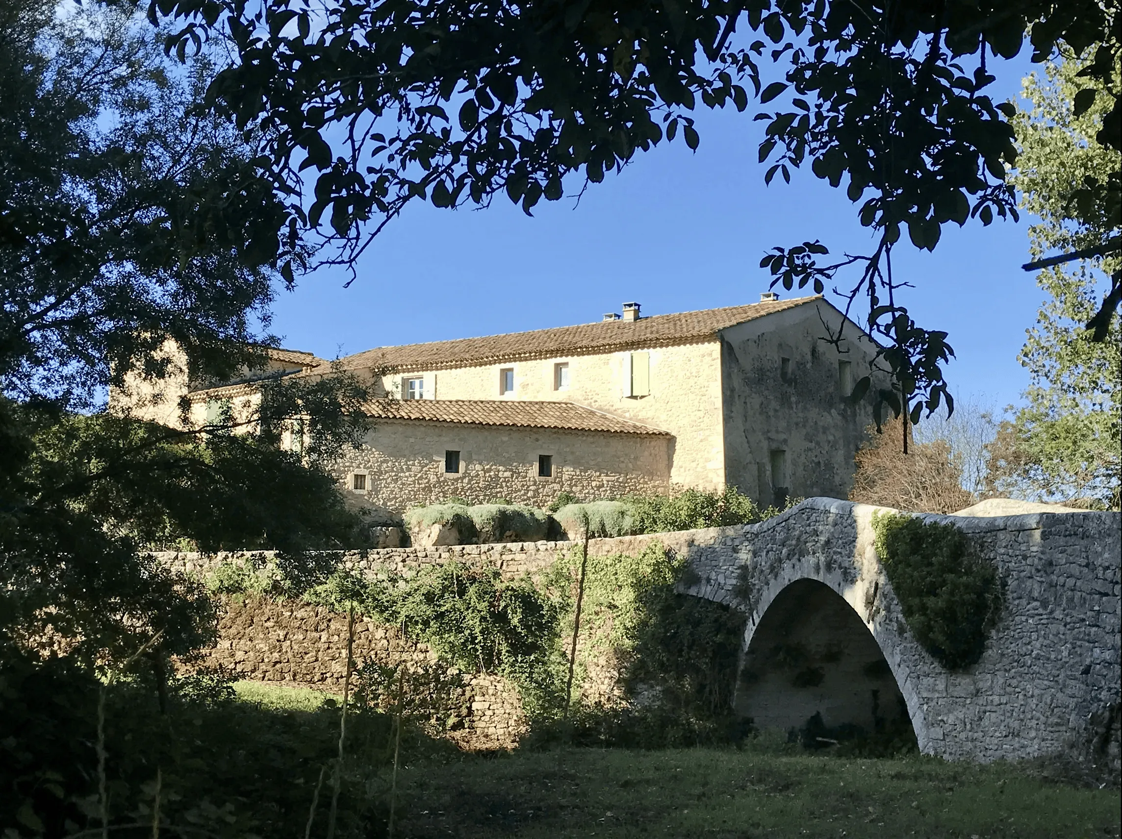 D'où vient son nom? D'où vient son nom?