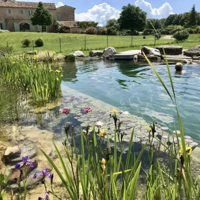 Piscine01
