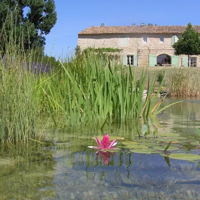 Piscine02
